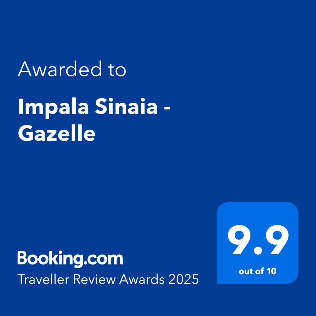 Impala Sinaia - Gazelle Διαμέρισμα Εξωτερικό φωτογραφία